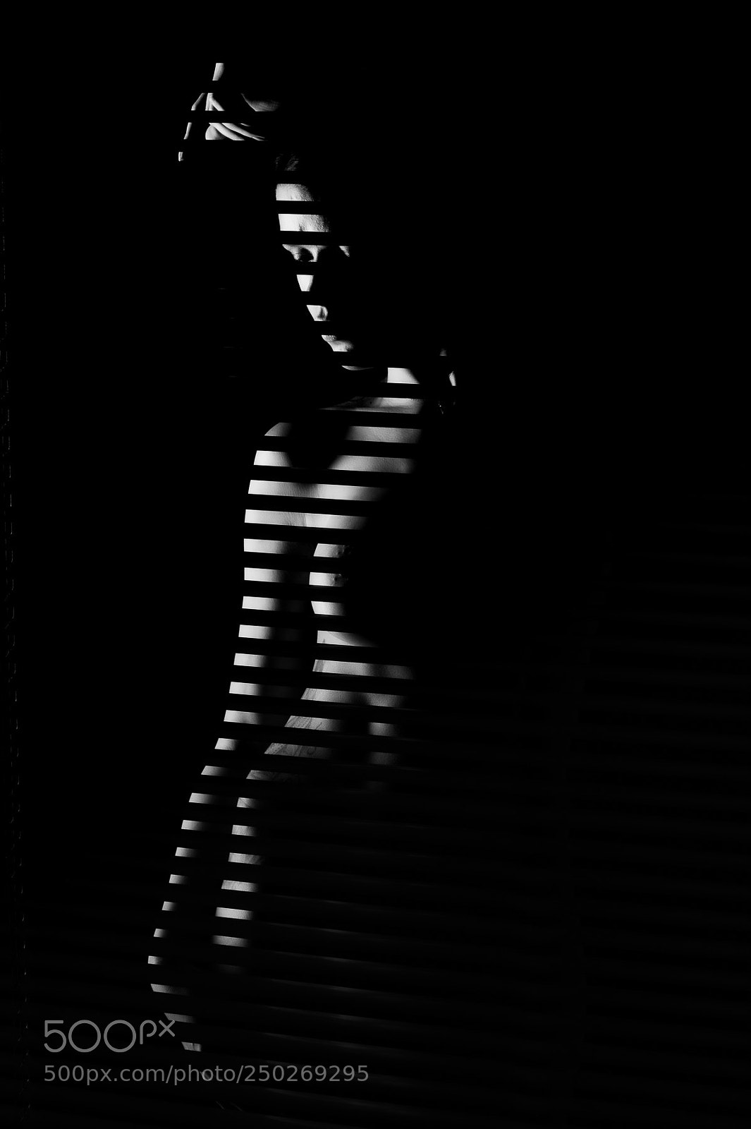 Nikon D4S sample photo. Black or white photography