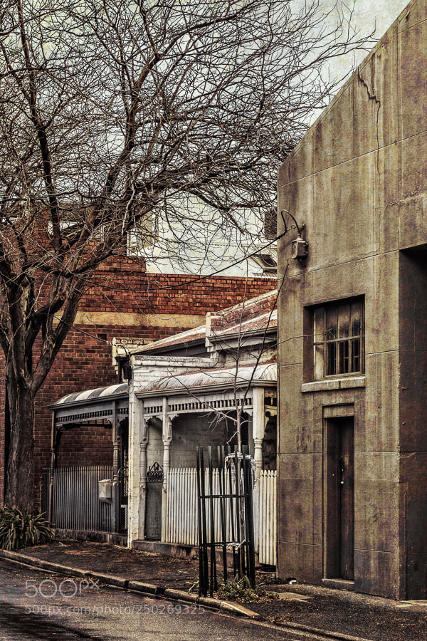 Canon EOS 7D Mark II sample photo. Old lane photography