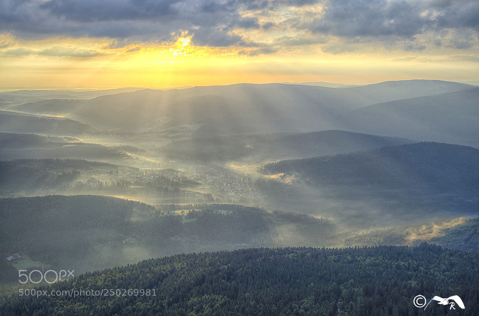 Nikon D600 sample photo. Arber sunrise photography