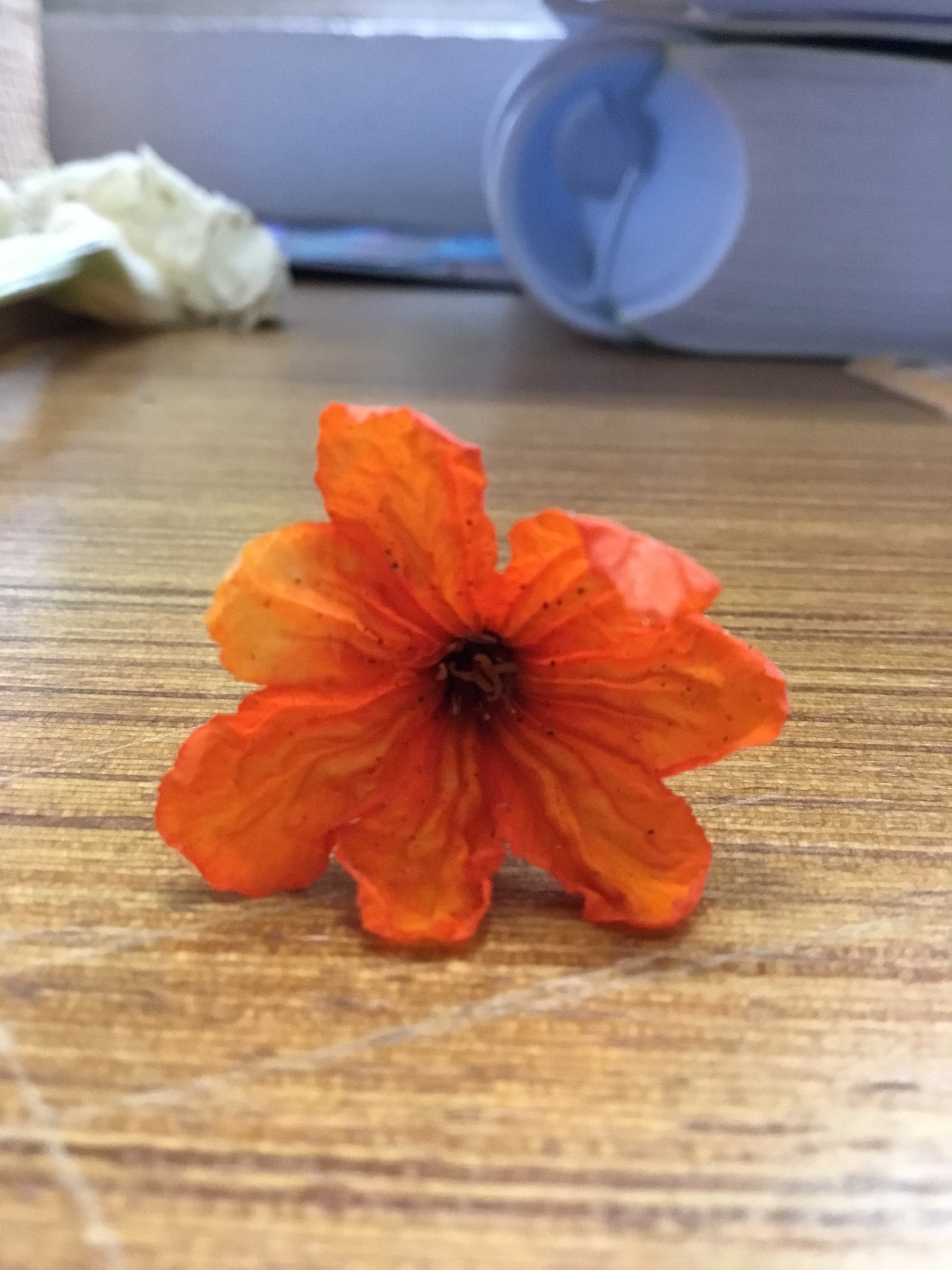 Apple iPad (5th generation) sample photo