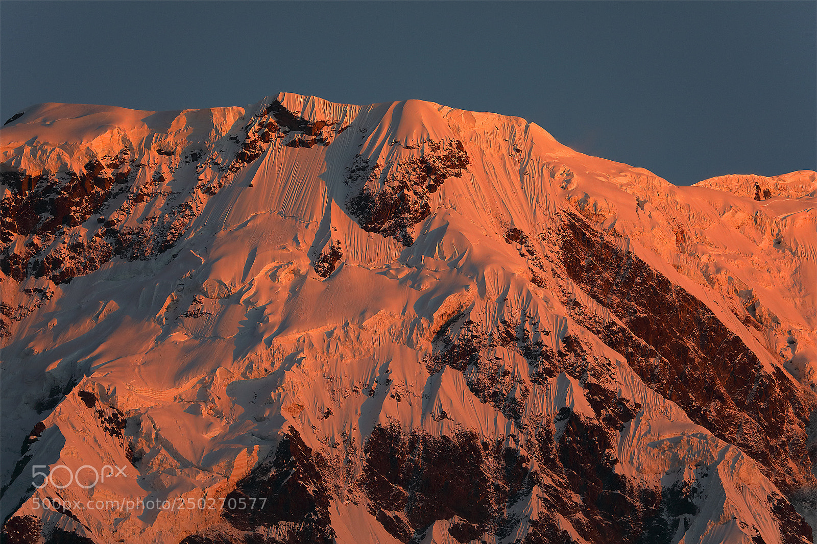Canon EOS 5D Mark IV sample photo. Dark pink himalayas photography