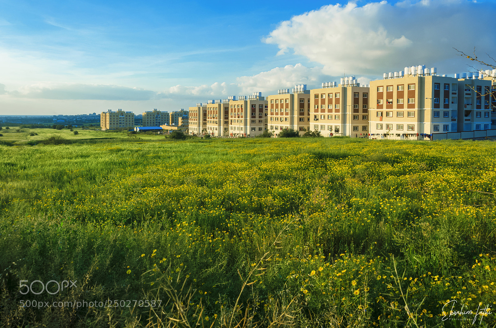 Nikon D7000 sample photo. Tika city photography