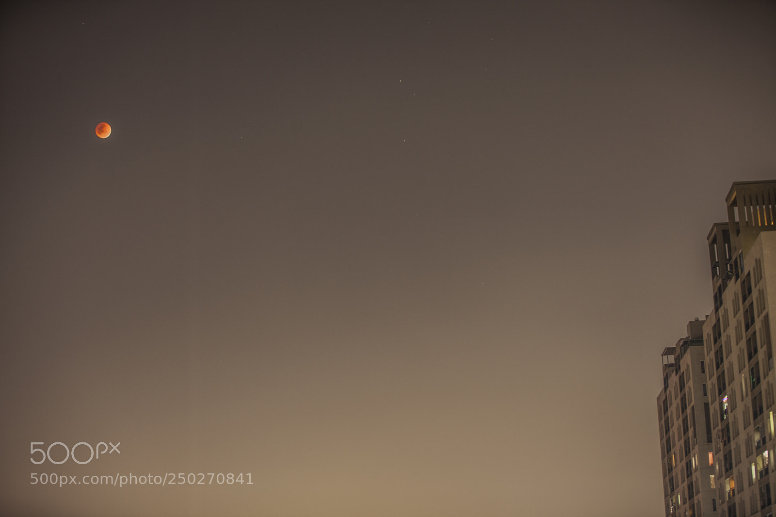 Canon EOS 5D Mark II sample photo. Img photography