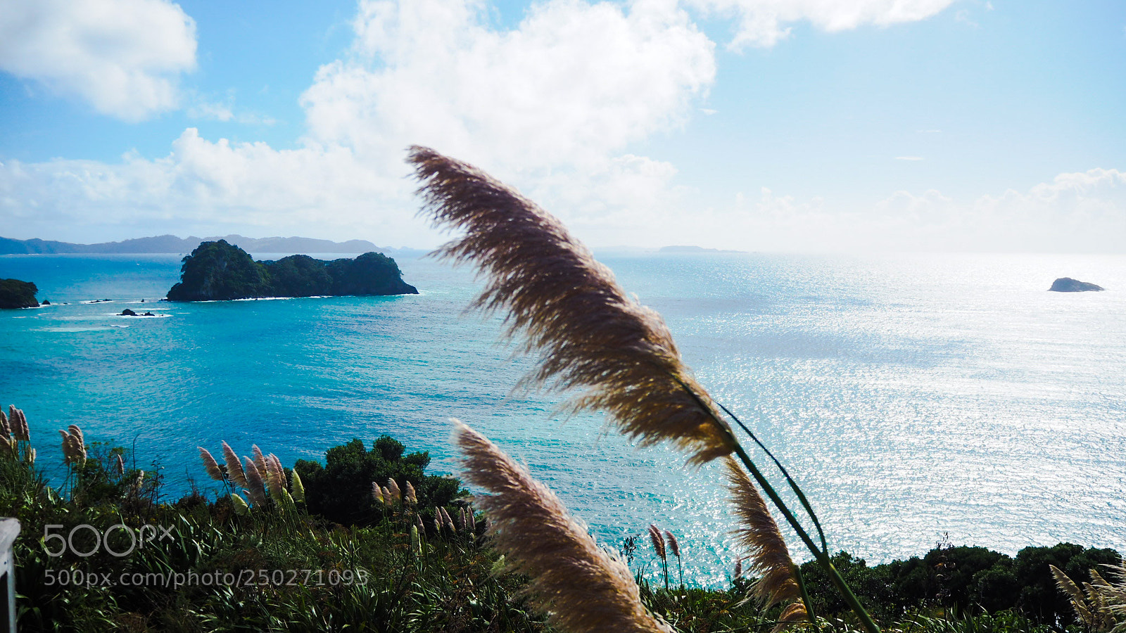 Olympus OM-D E-M10 II sample photo. Hahei beach photography