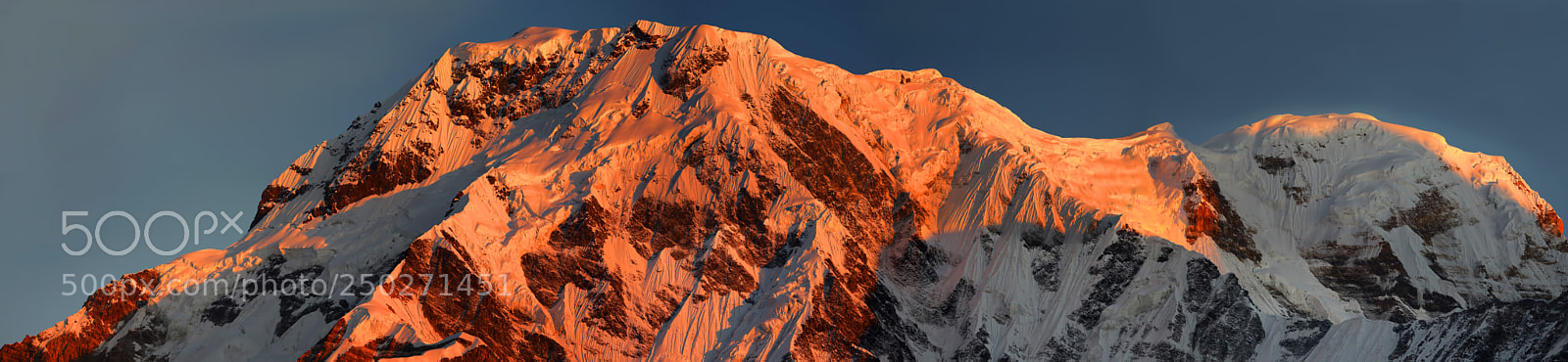 Canon EOS 5D Mark IV sample photo. Dark pink himalayas photography