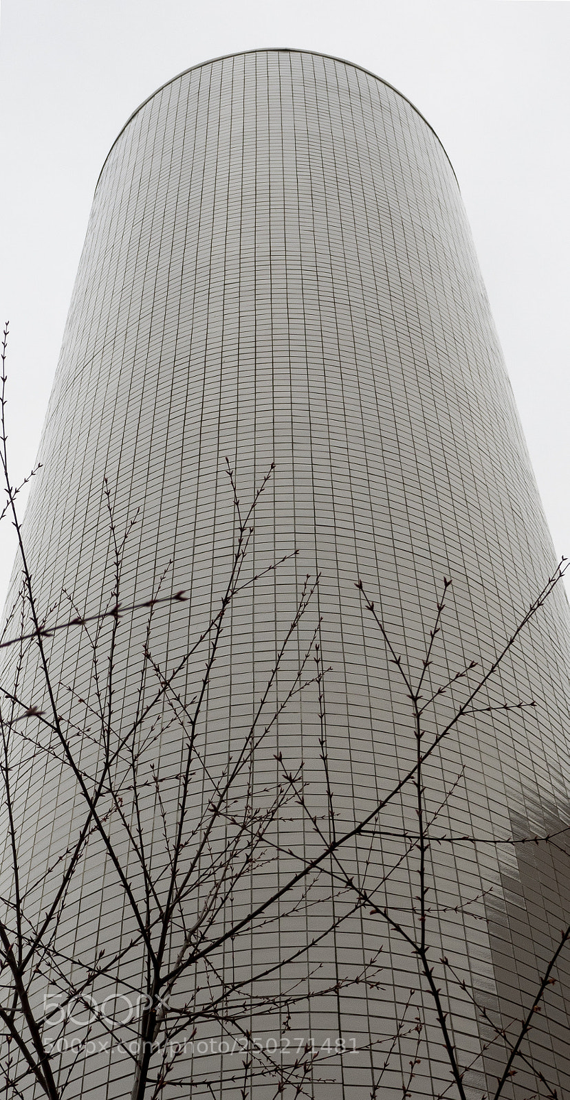 Olympus OM-D E-M1 sample photo. Towards the sky photography