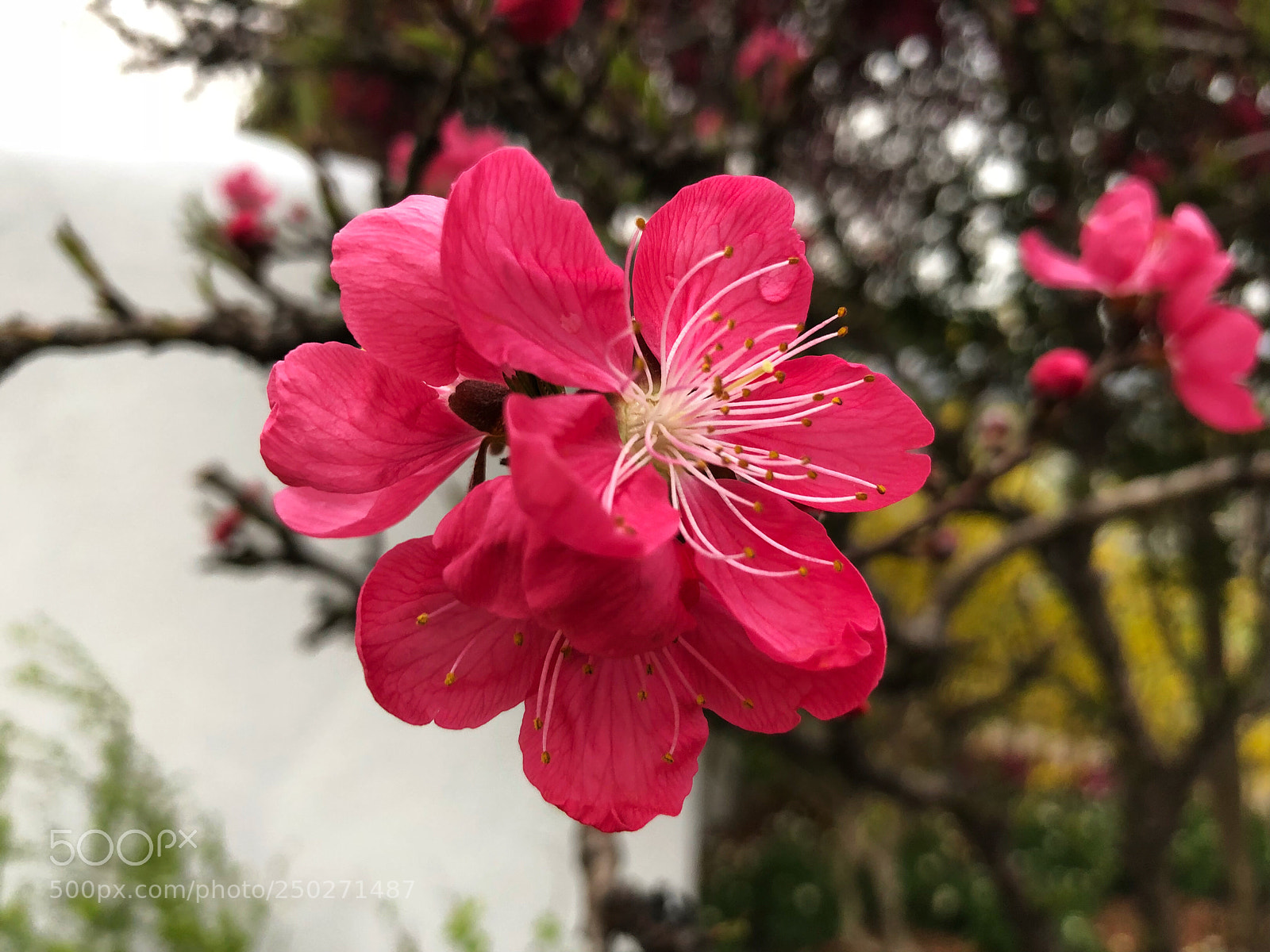 Apple iPhone X sample photo. Untitled photography