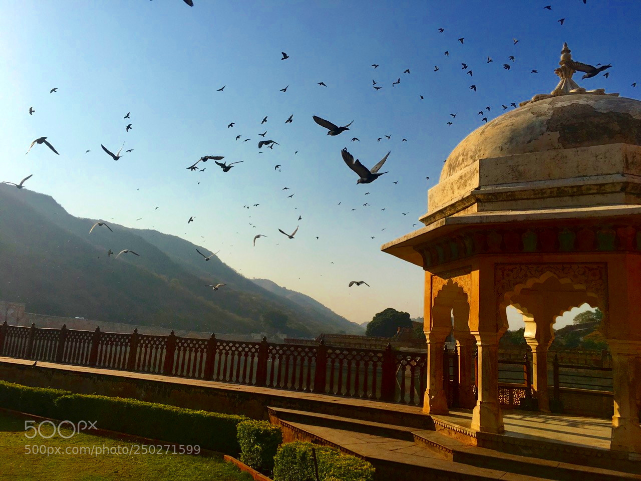 Apple iPhone 6s sample photo. Jaipur 2 photography