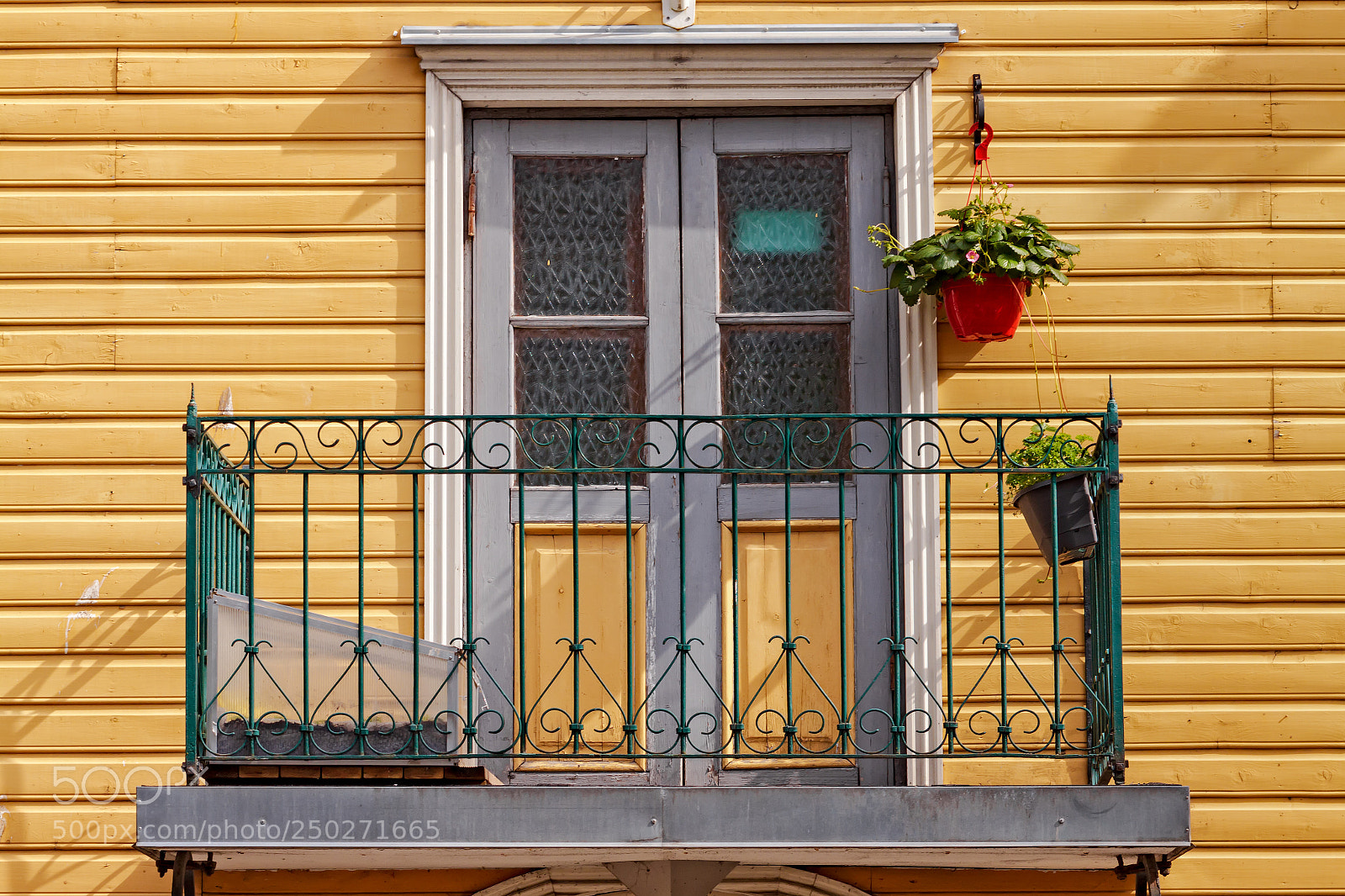 Canon EOS 50D sample photo. Greenhouse on a balcony photography