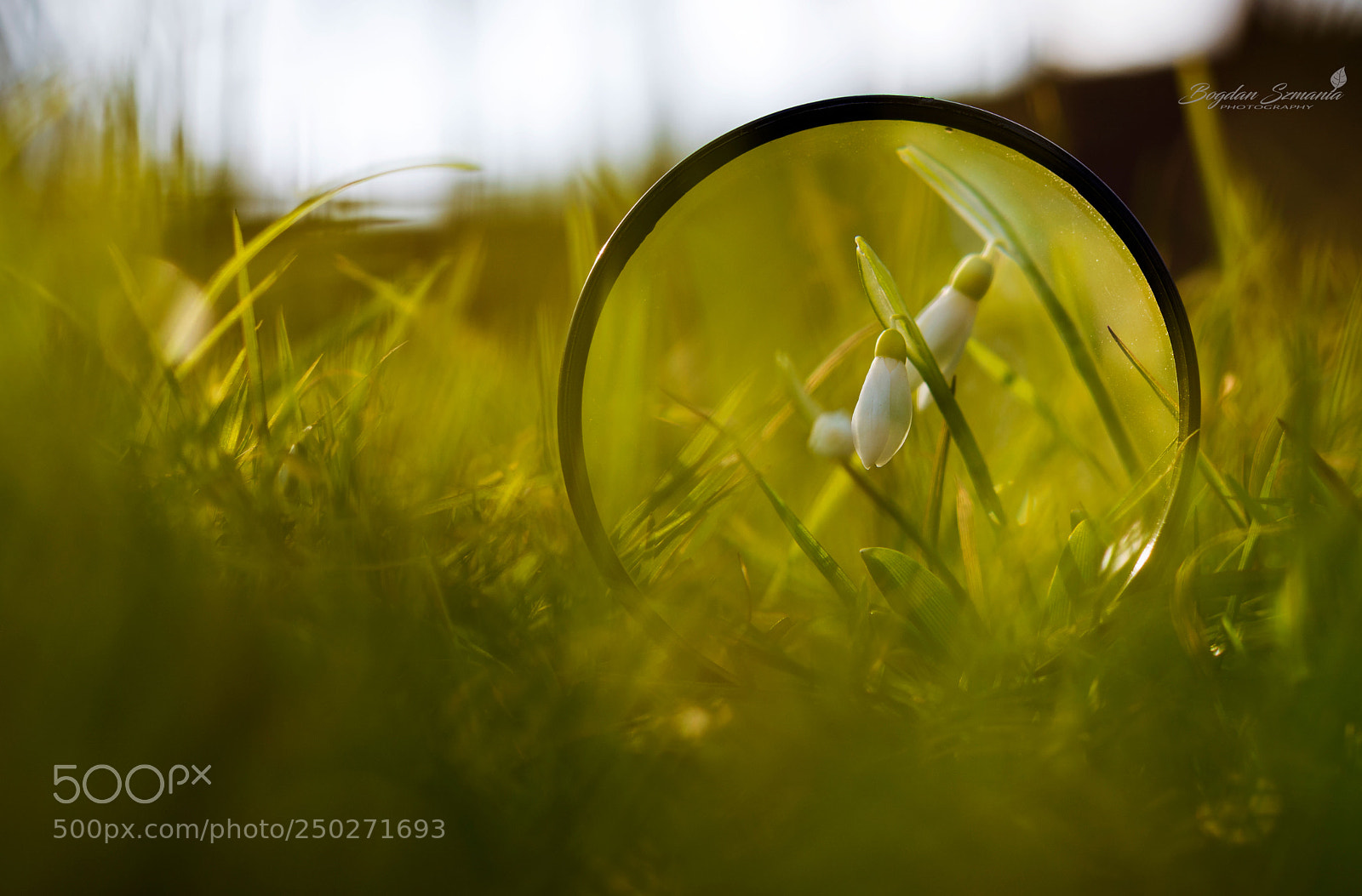 Nikon D5200 sample photo. Spring photography