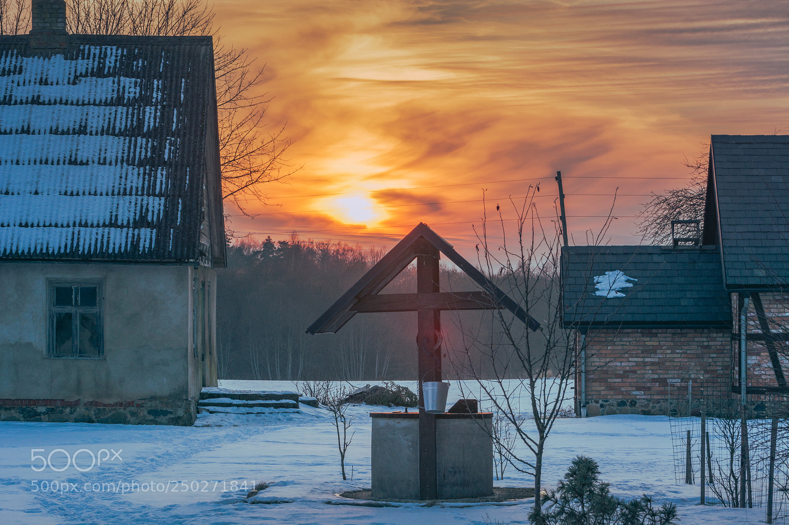 Nikon D5200 sample photo. Sunset over the tree photography