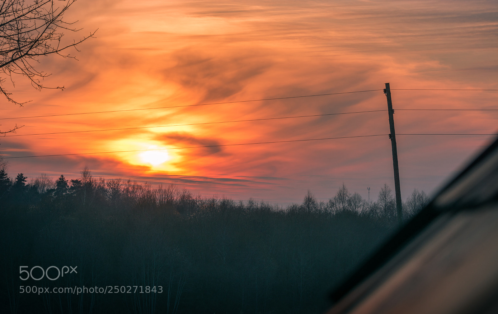 Nikon D5200 sample photo. Sunset over the tree photography