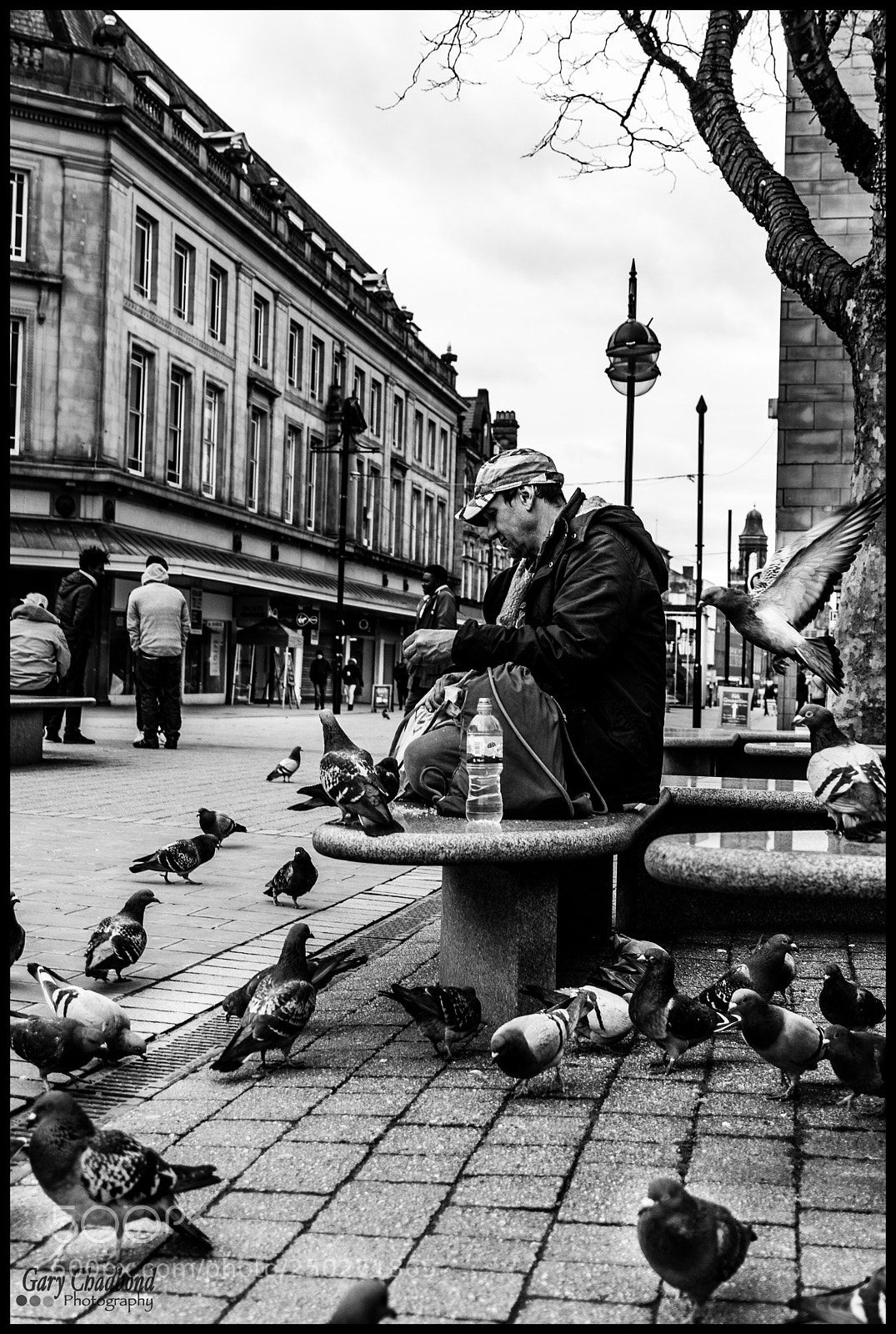 Sony SLT-A99V sample photo. Bird man photography