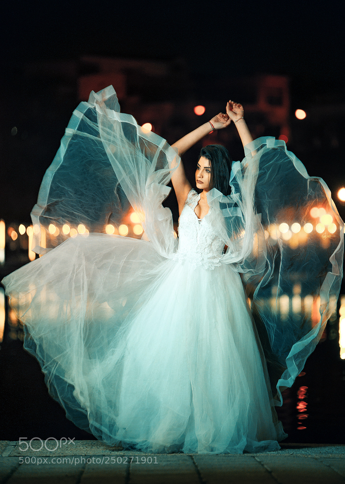 Nikon D3S sample photo. Butterfly dress wedding photography