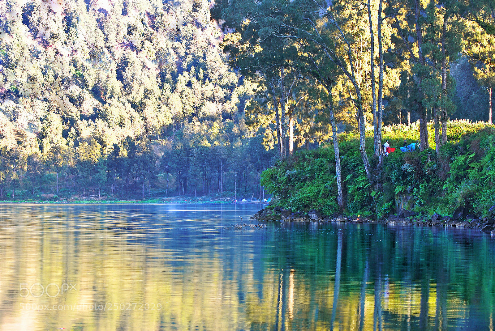 Nikon D3000 sample photo. The beautiful reflection of photography