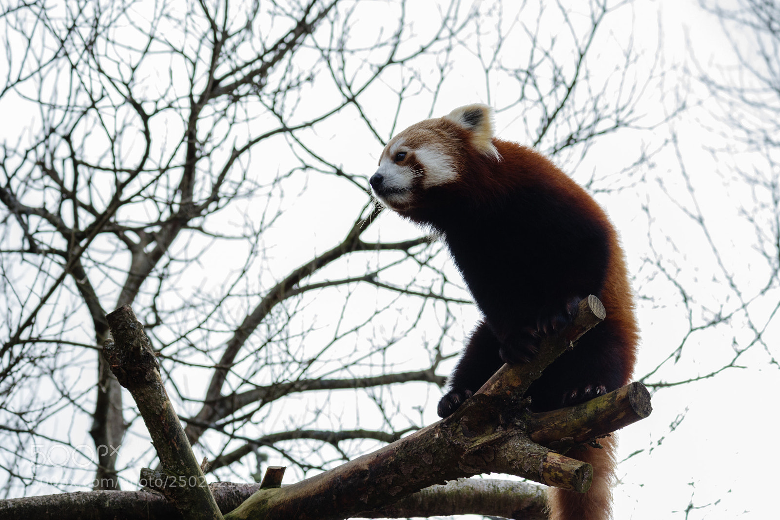Canon EOS M5 sample photo. Untitled photography