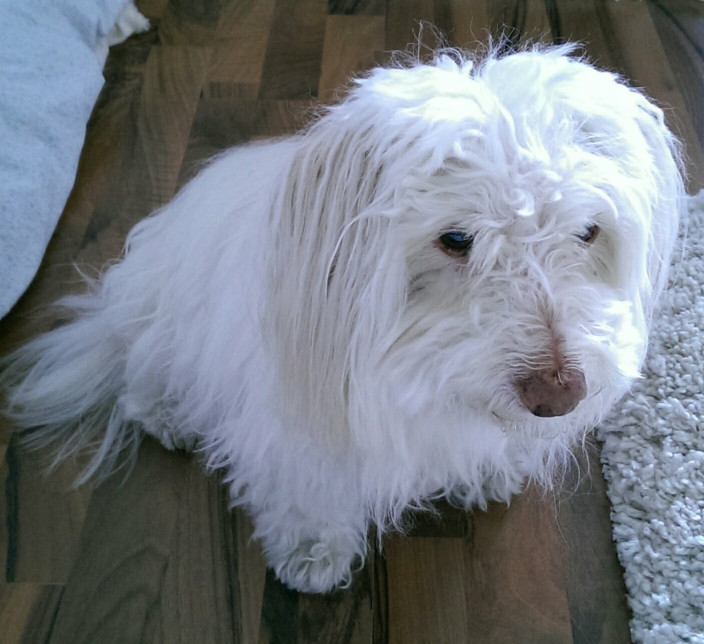 HTC ONE sample photo