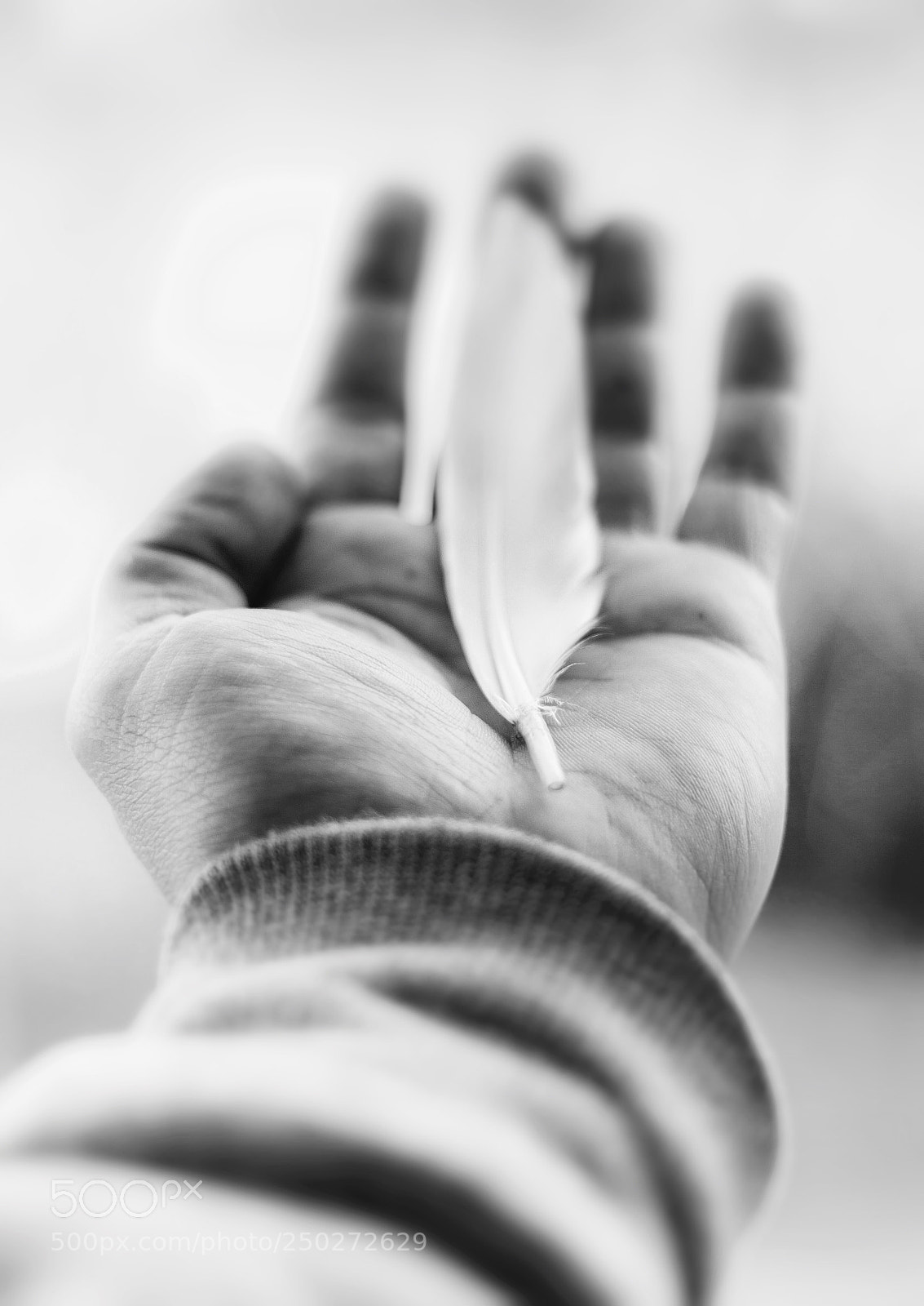 Canon EOS 700D (EOS Rebel T5i / EOS Kiss X7i) sample photo. Give me your hand photography