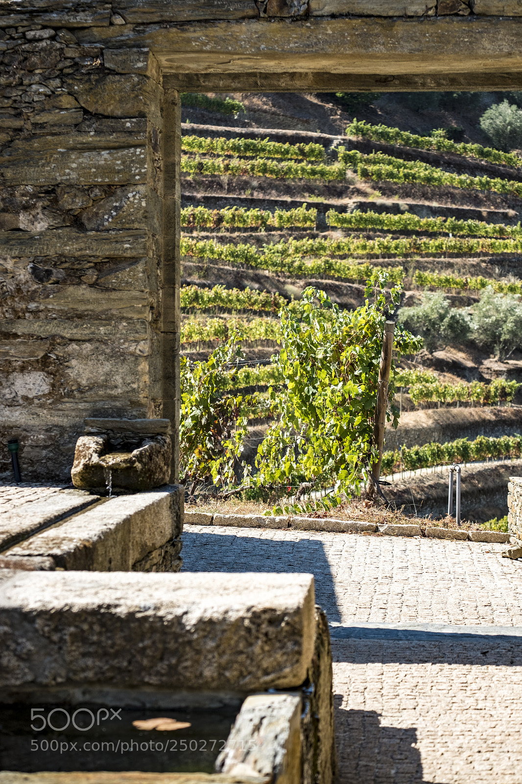 Fujifilm X-T2 sample photo. Landscape in the douro photography