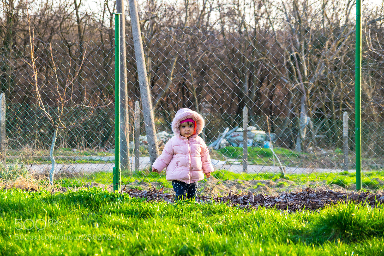 Sony SLT-A58 sample photo. Untitled photography