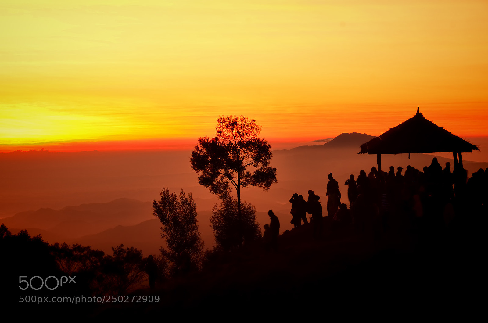 Nikon D7000 sample photo. Silhouette of the sunrise photography