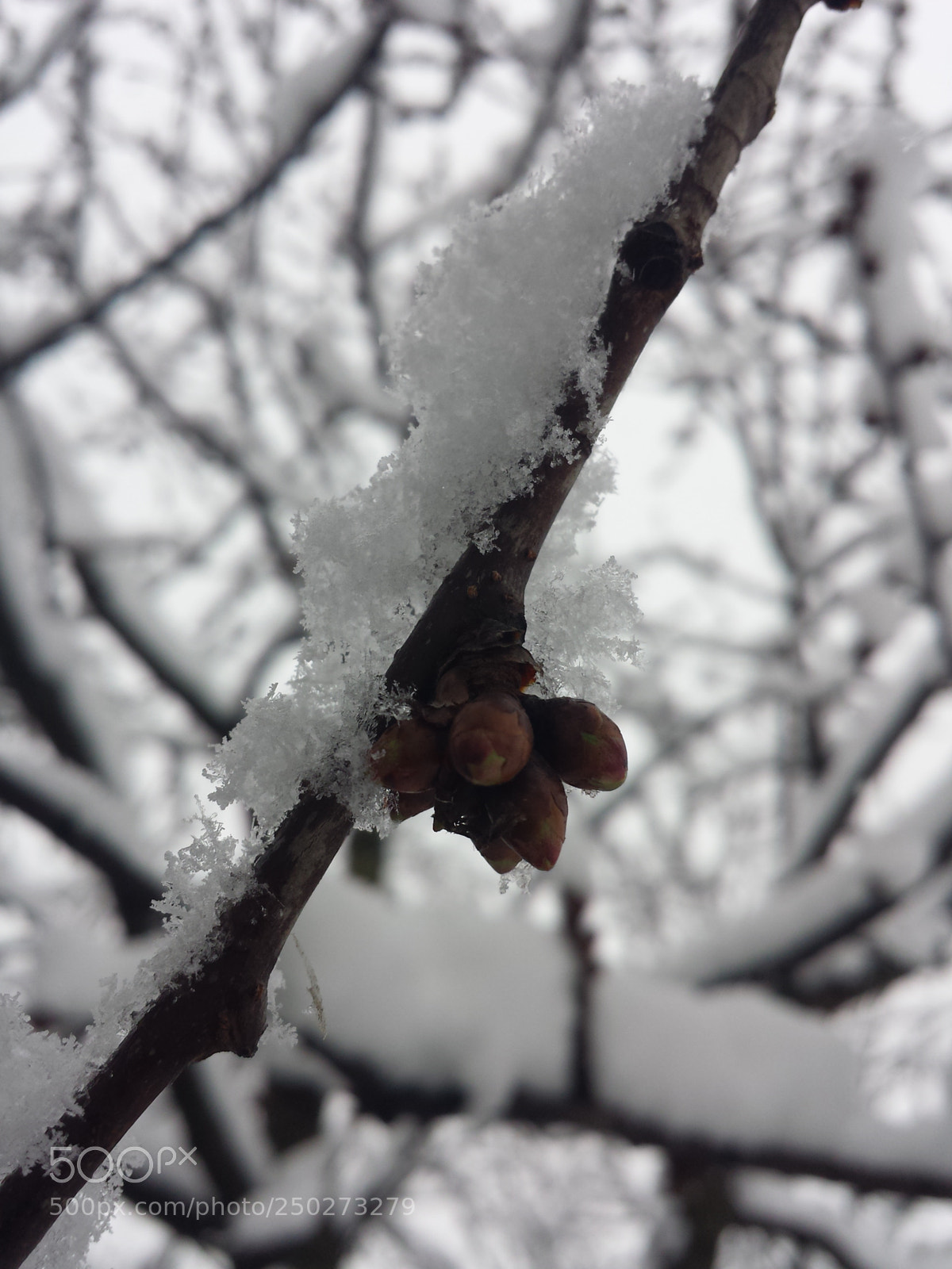 Samsung Galaxy S4 sample photo. Untitled photography