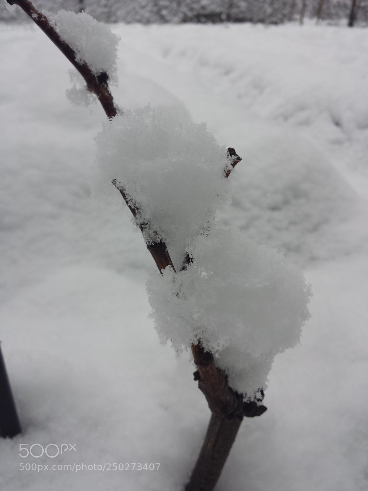 Samsung Galaxy S4 sample photo. Untitled photography