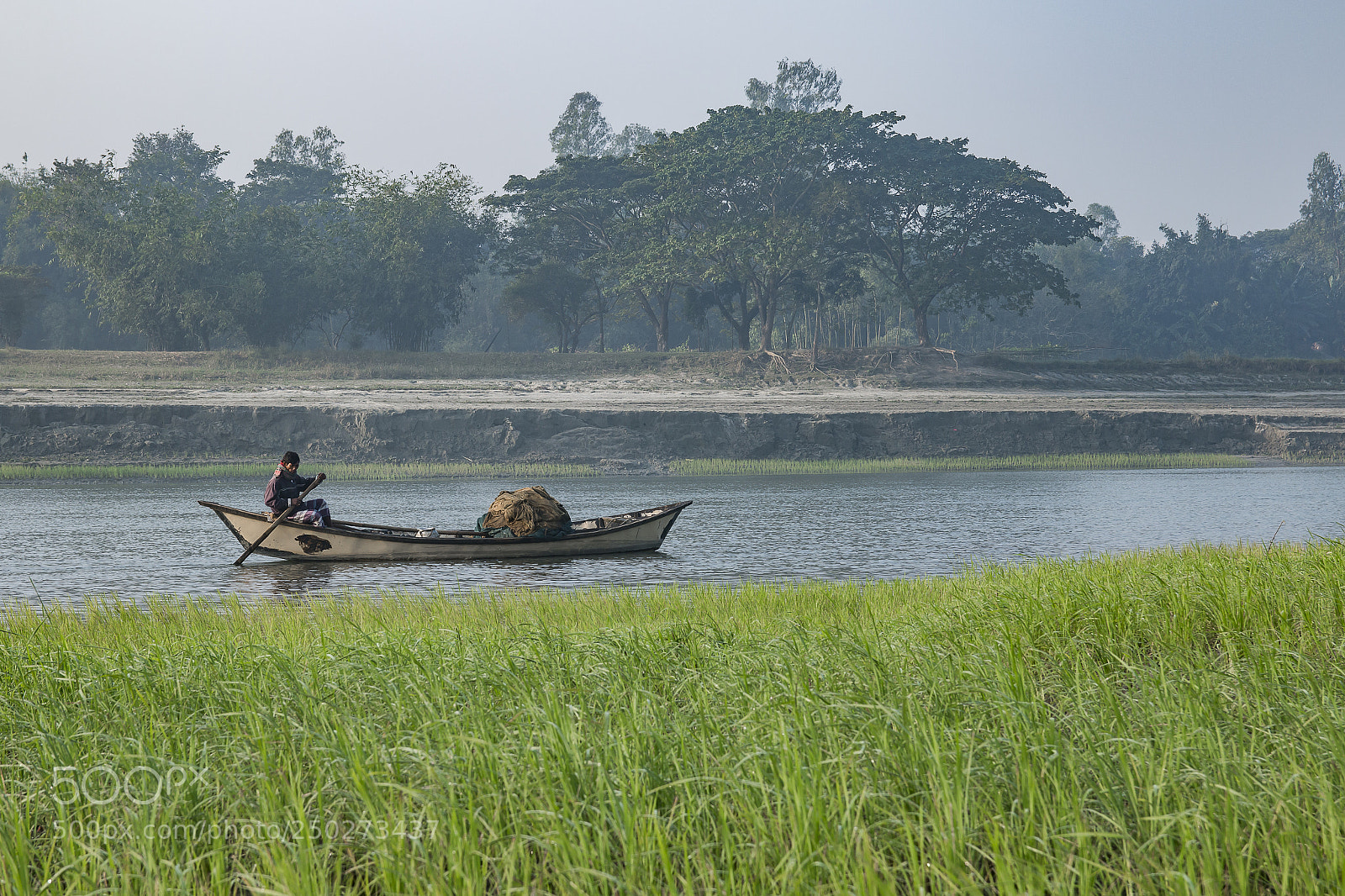 Canon EOS 70D sample photo. A foggy morning part 9 photography