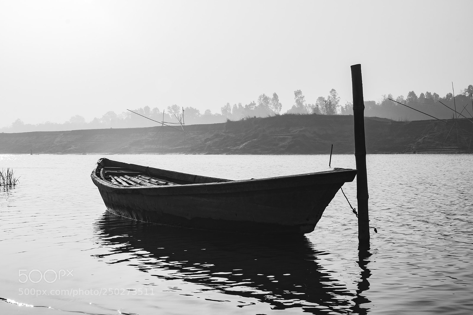 Canon EOS 70D sample photo. A foggy morning part 10 photography
