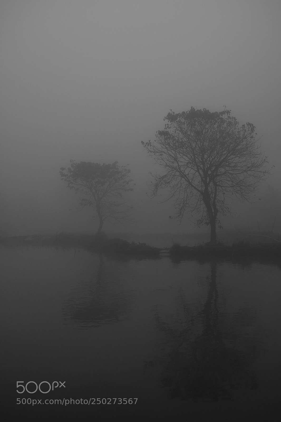 Canon EOS 70D sample photo. A foggy morning part 13 photography