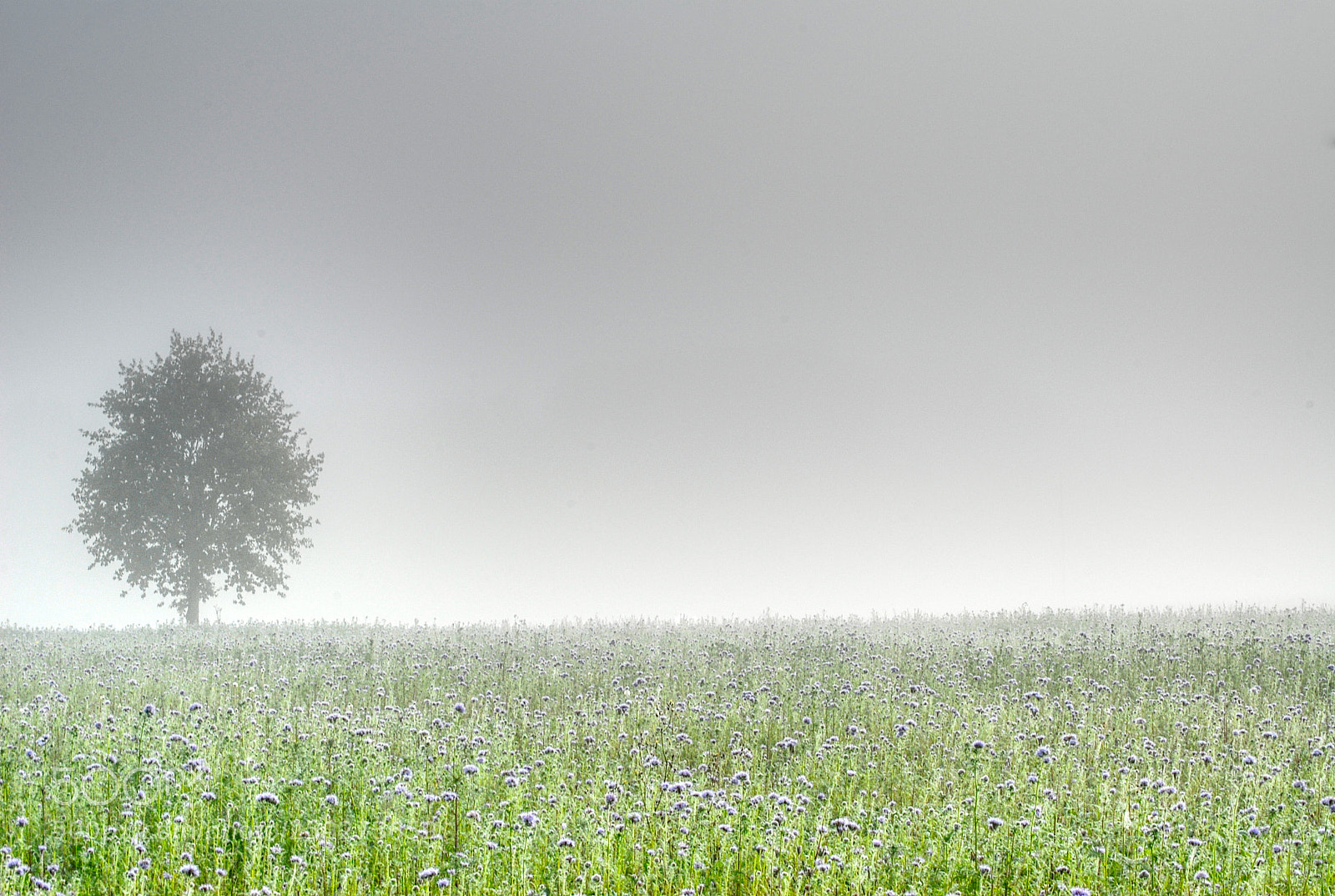 Nikon D200 sample photo. Alone photography
