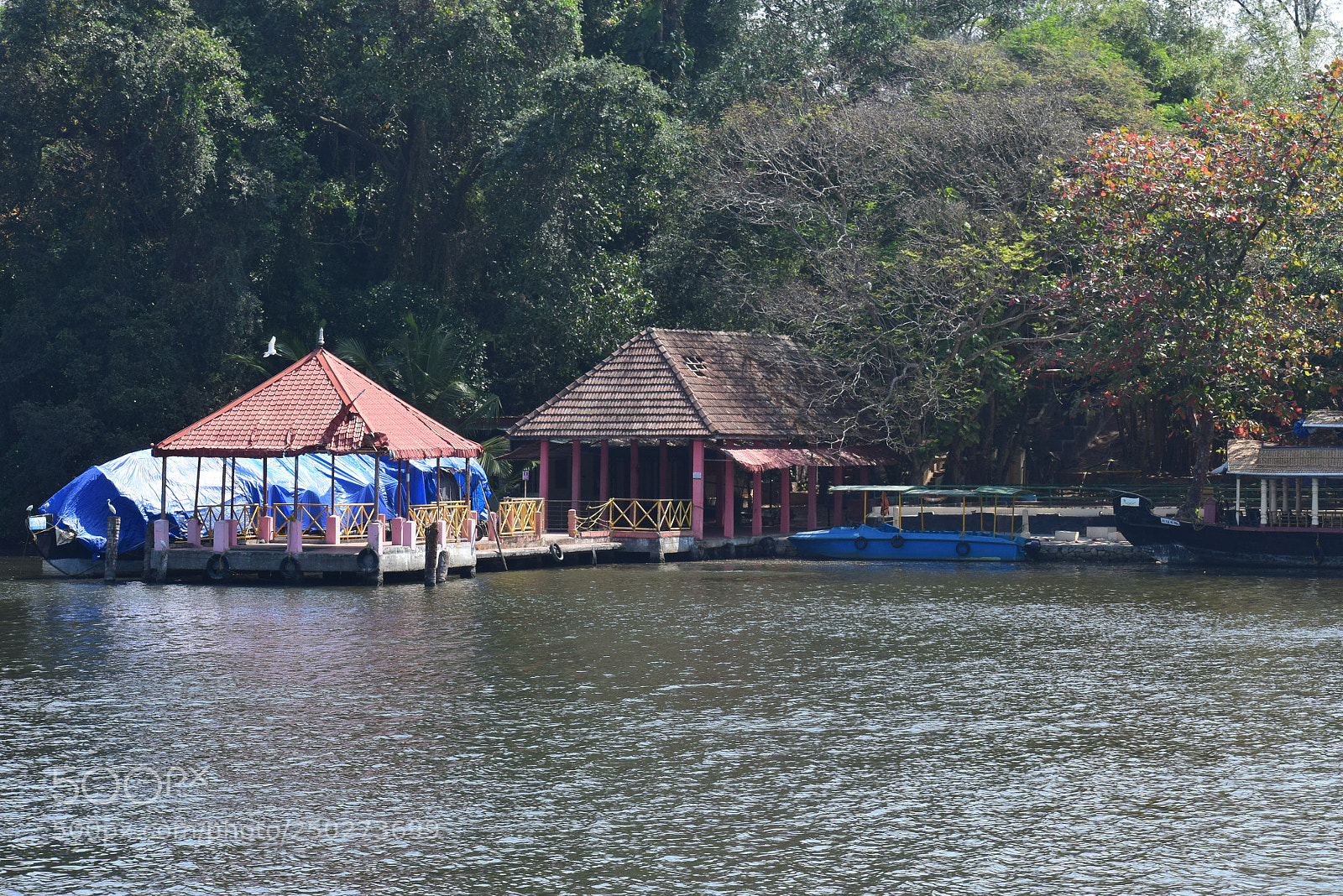 Nikon D5300 sample photo. Paradise house photography