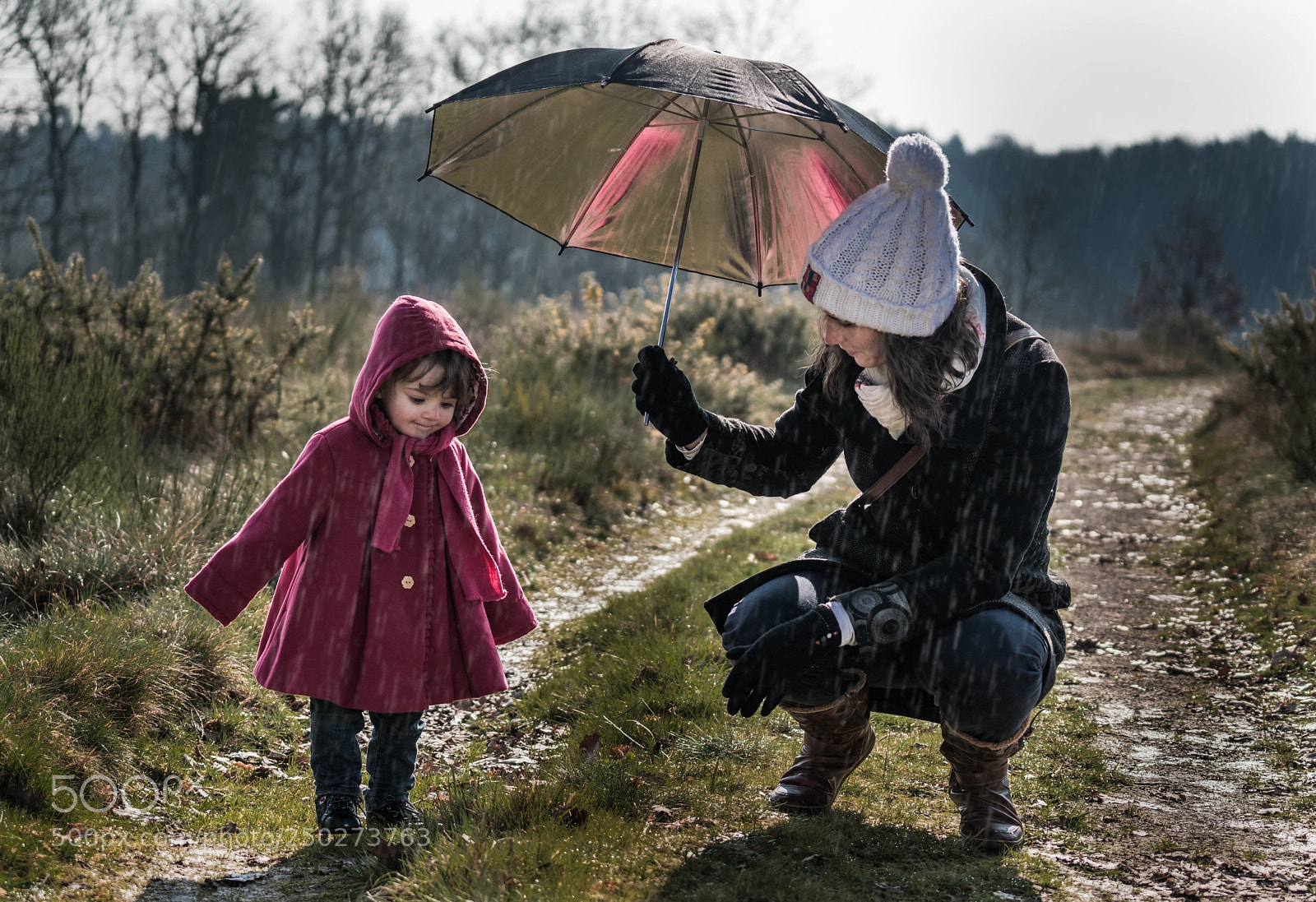 Sony a7R III sample photo. Raining day photography