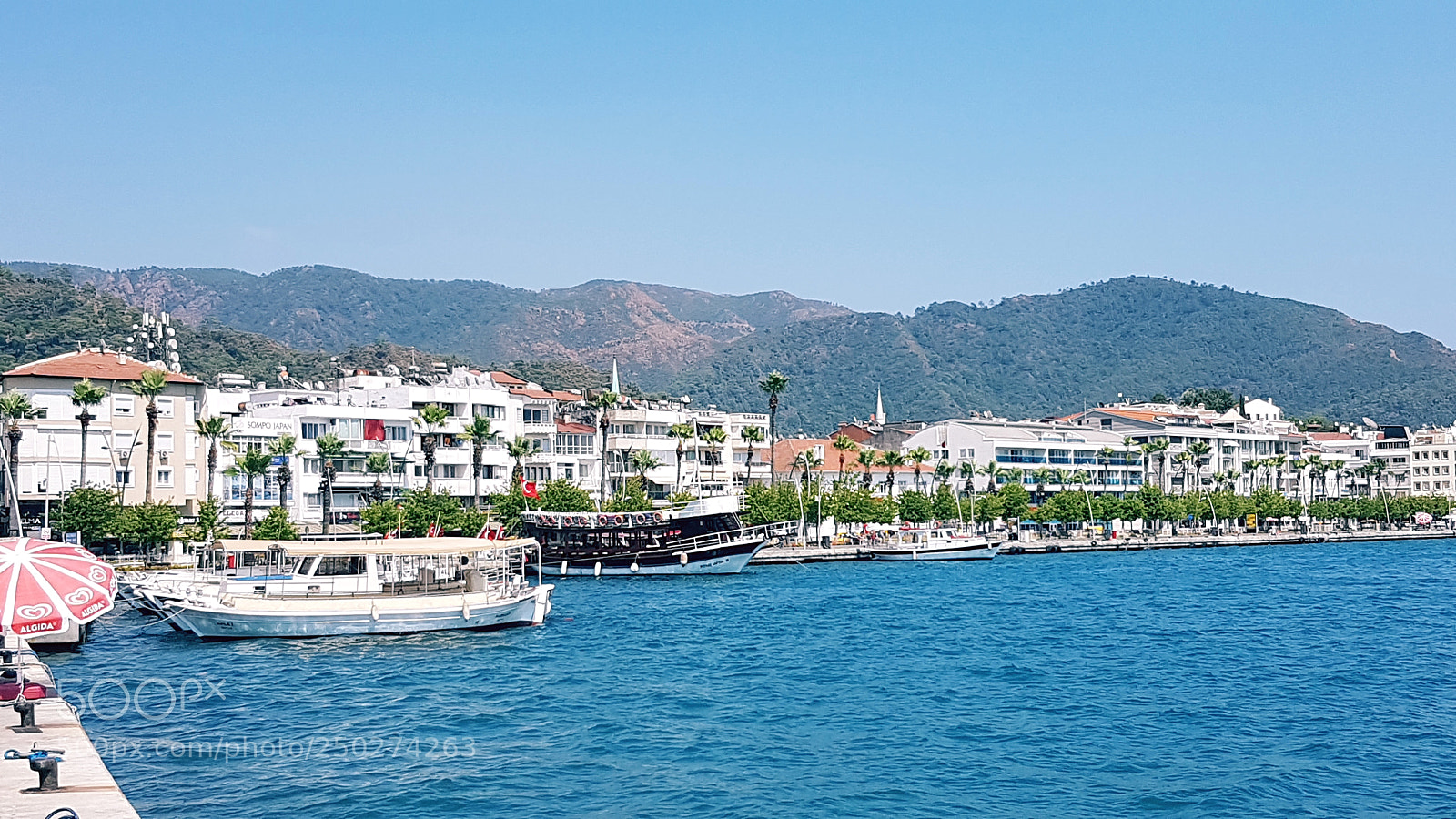 Samsung Galaxy S7 sample photo. Waterfront turkey photography