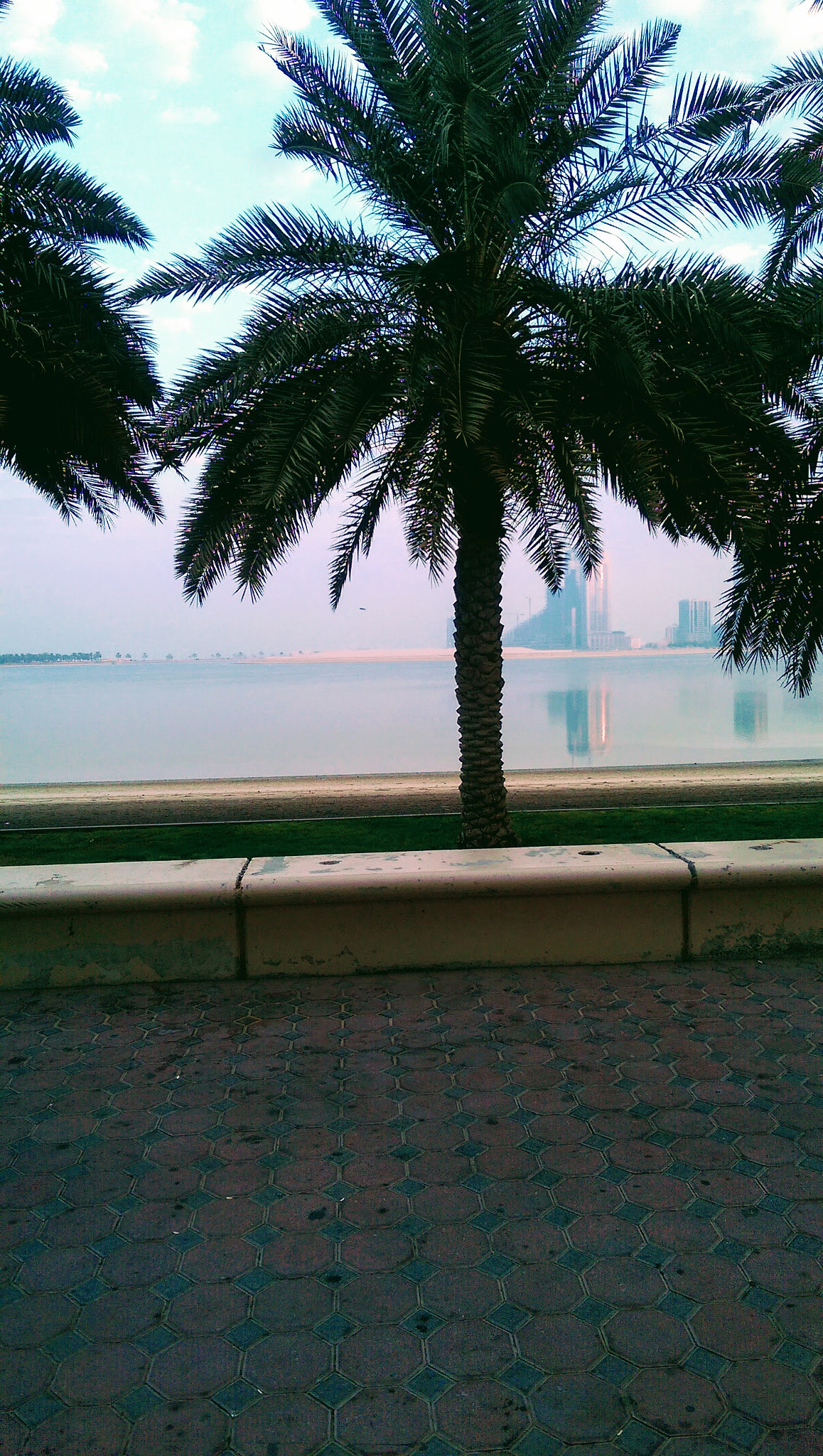 HTC ONE M8 sample photo
