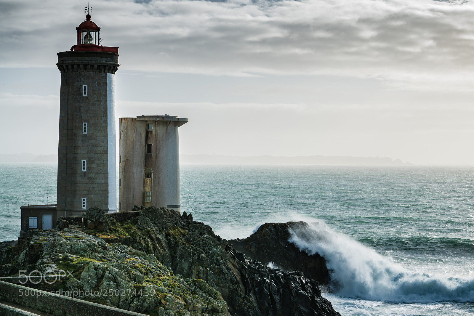 Sony a7R II sample photo. Le petit minou photography