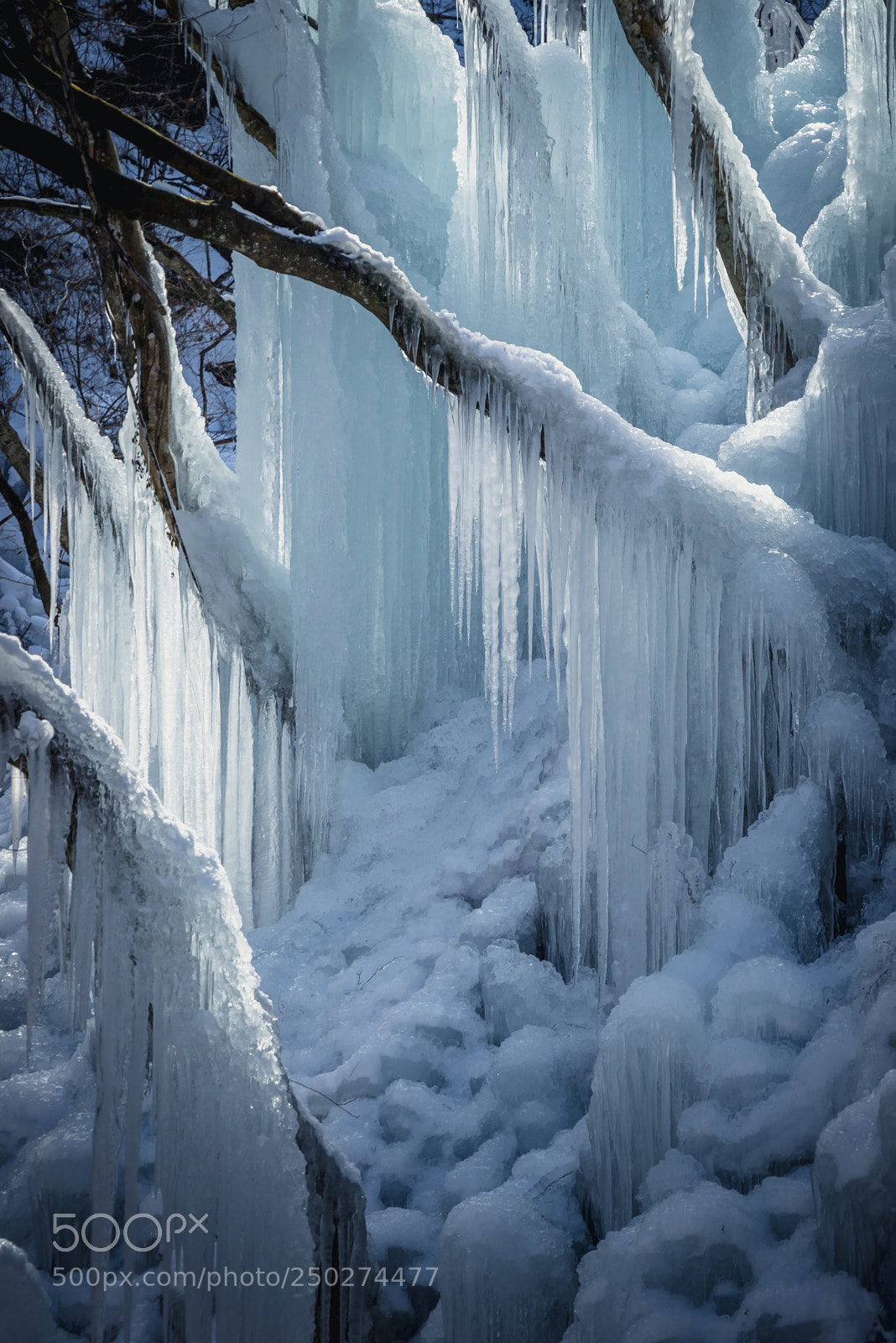 Sony a7R sample photo. Frozen world photography