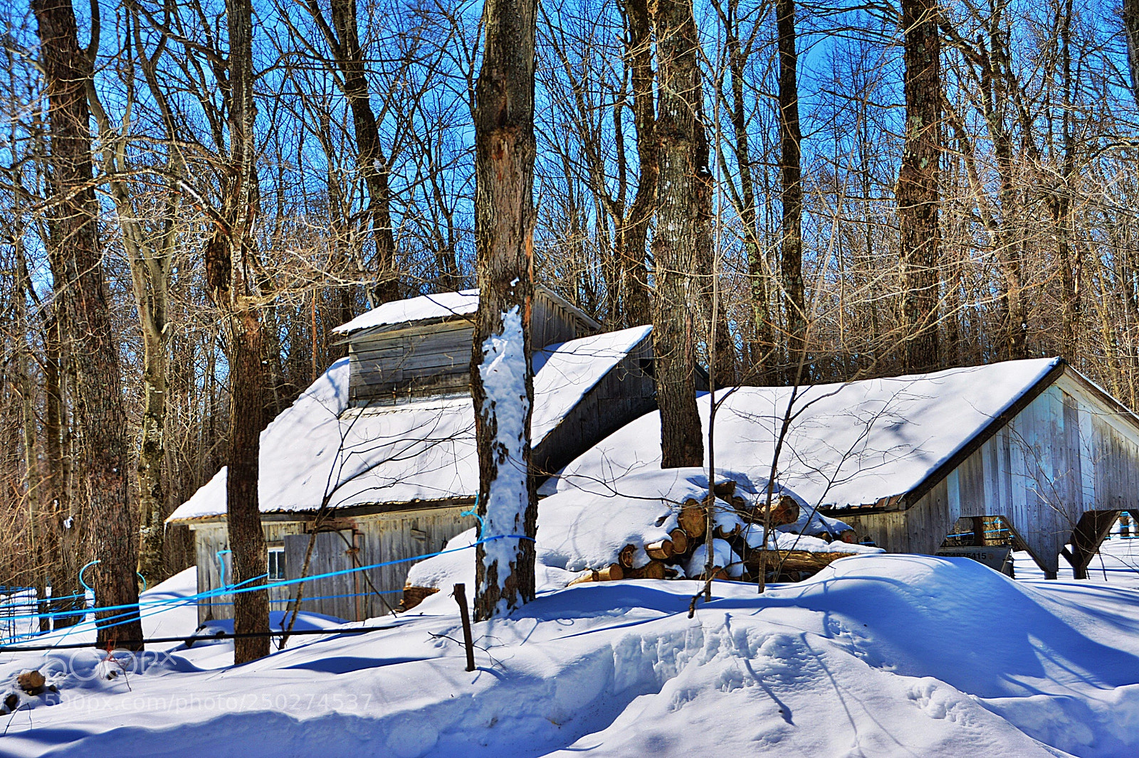 Nikon D7100 sample photo. Cabane à sucre photography