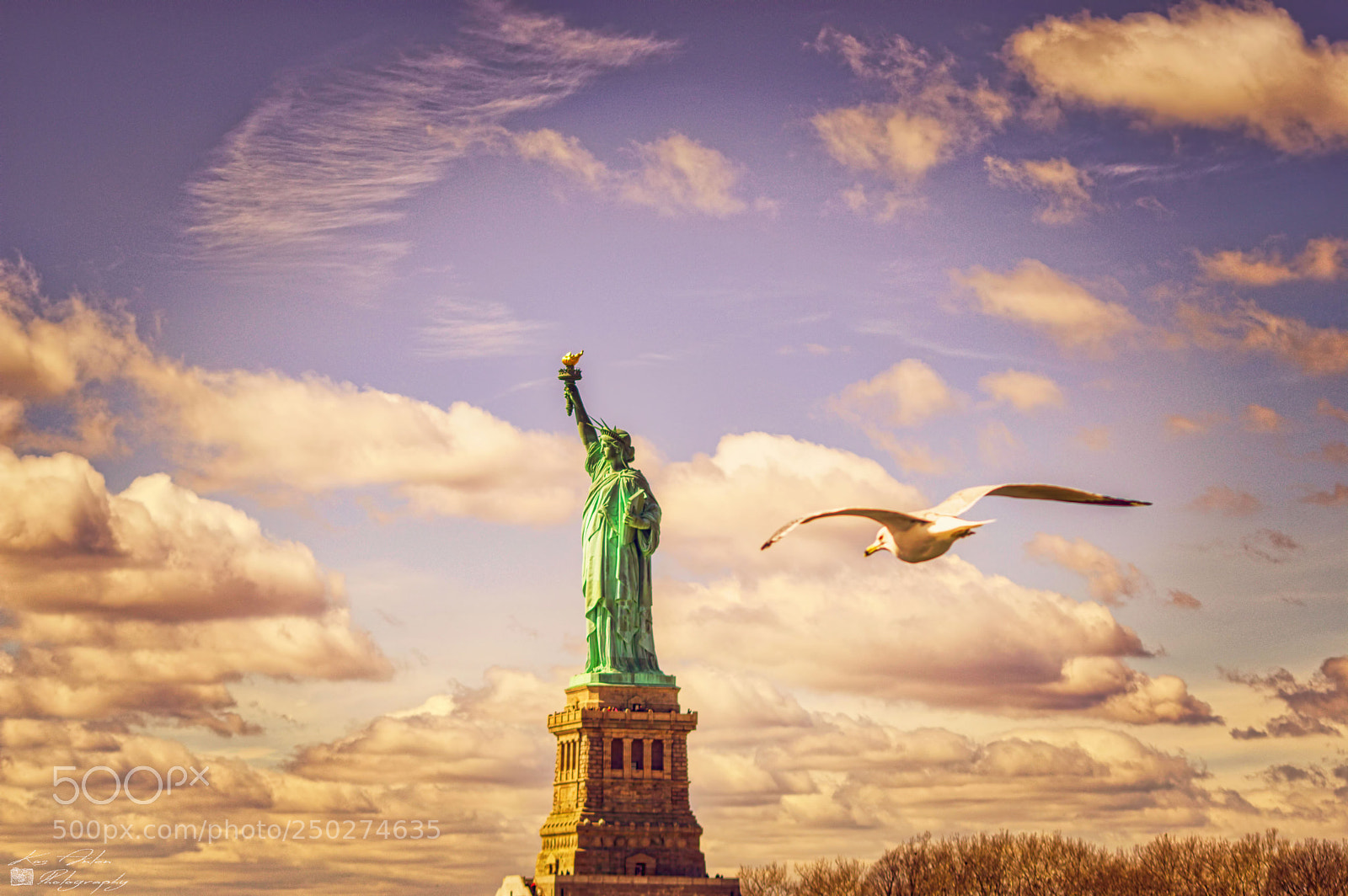 Pentax KP sample photo. Flying to the statue photography