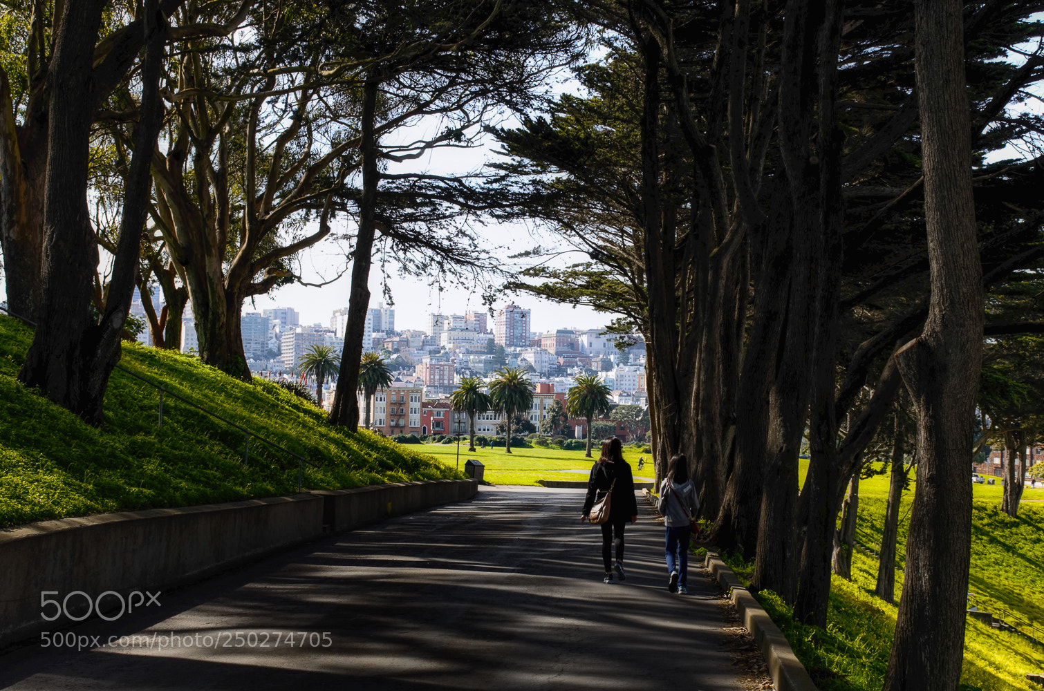 Nikon D5100 sample photo. San francisco walk photography