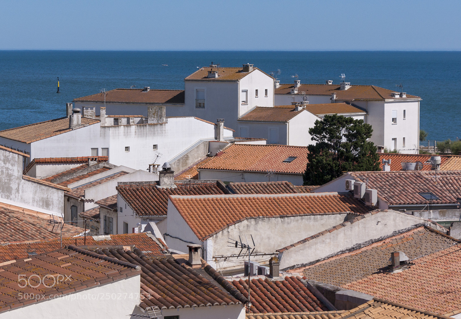 Sony Alpha DSLR-A700 sample photo. Rooftops photography