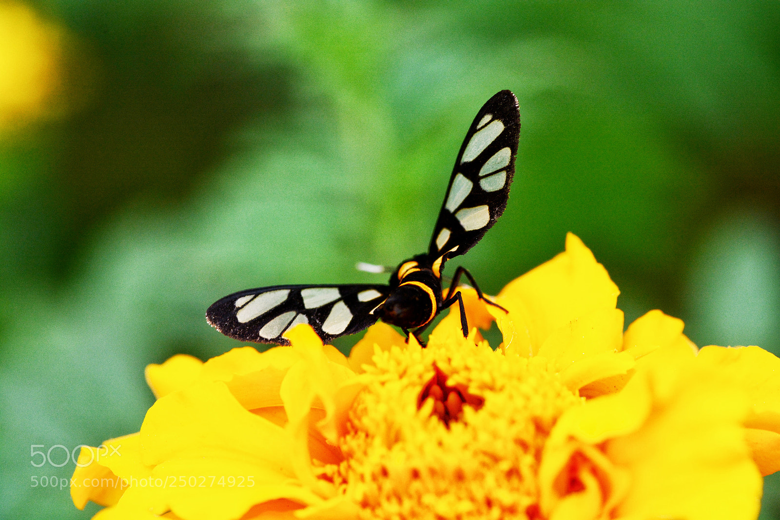 Nikon D7100 sample photo. Untitled photography