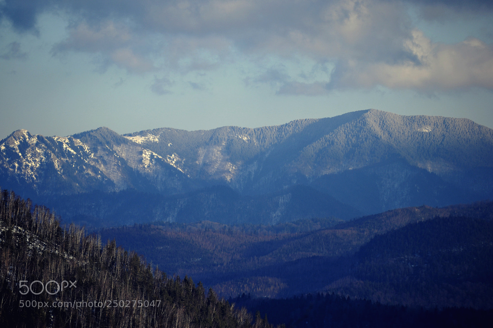 Nikon D3100 sample photo. Vrancea photography