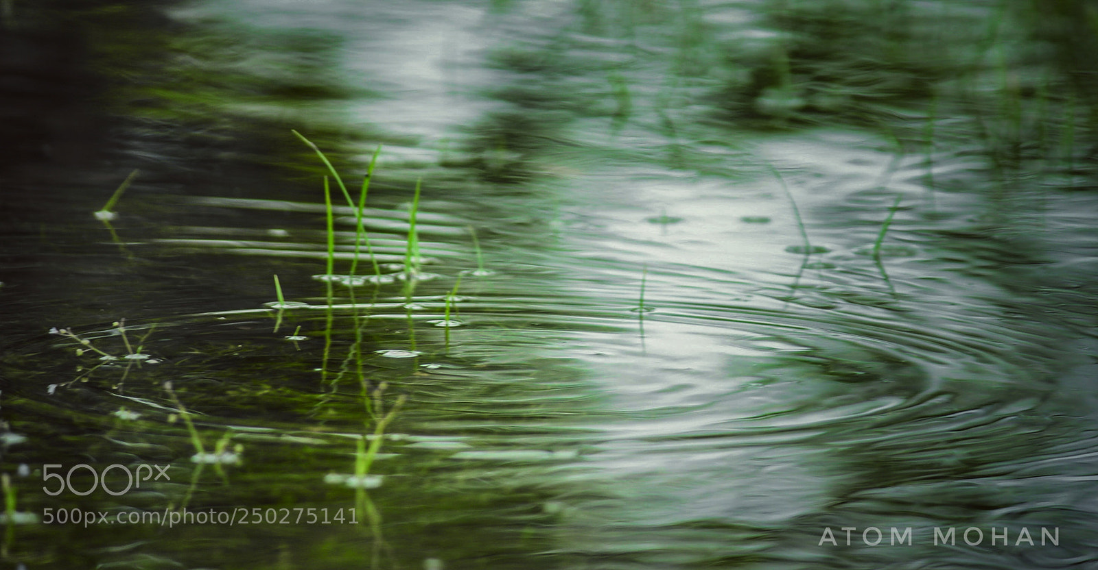 Canon EOS 600D (Rebel EOS T3i / EOS Kiss X5) sample photo. World water day. photography