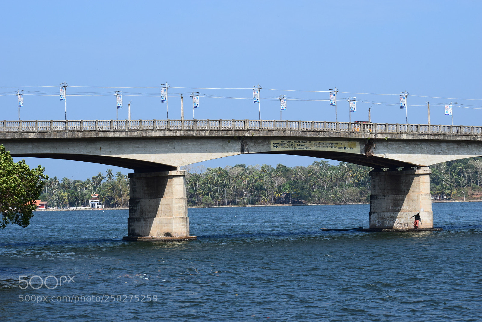 Nikon D5300 sample photo. Fly over photography