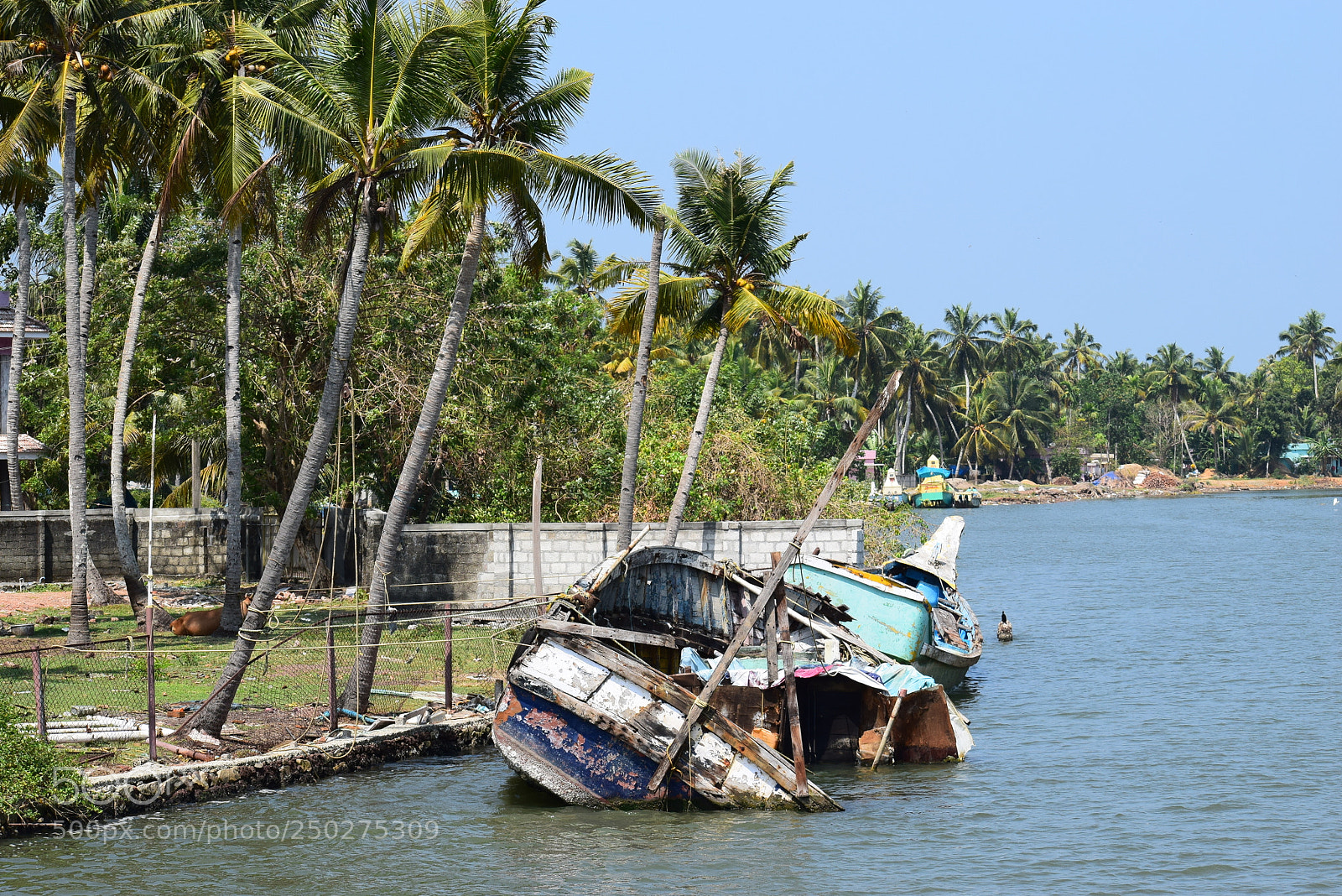 Nikon D5300 sample photo. Junkyard boat photography