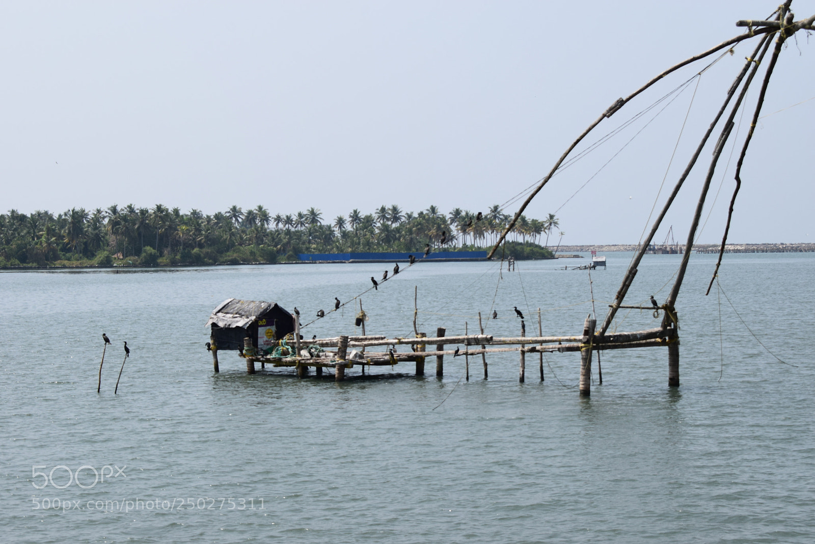 Nikon D5300 sample photo. Chainees fishing net photography