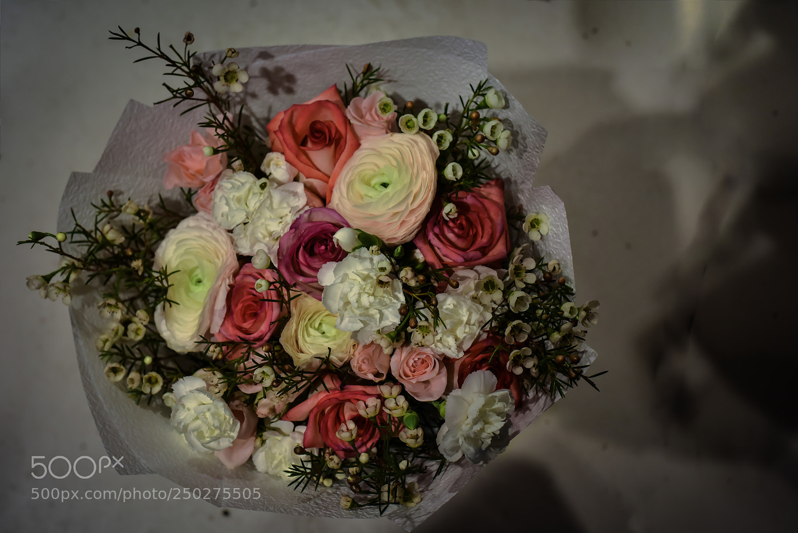 Nikon D810 sample photo. After scandal! photography