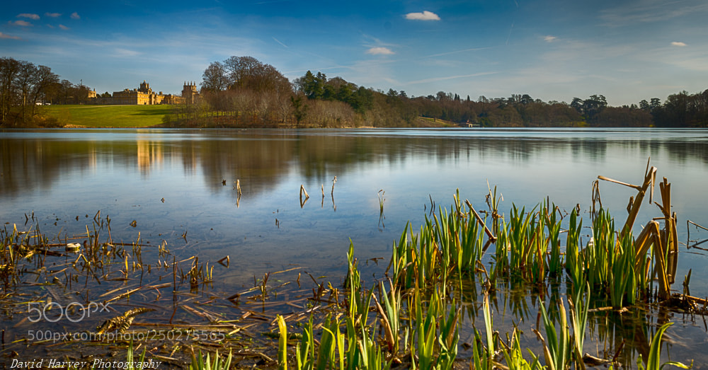 Nikon D7200 sample photo. Across the lake photography