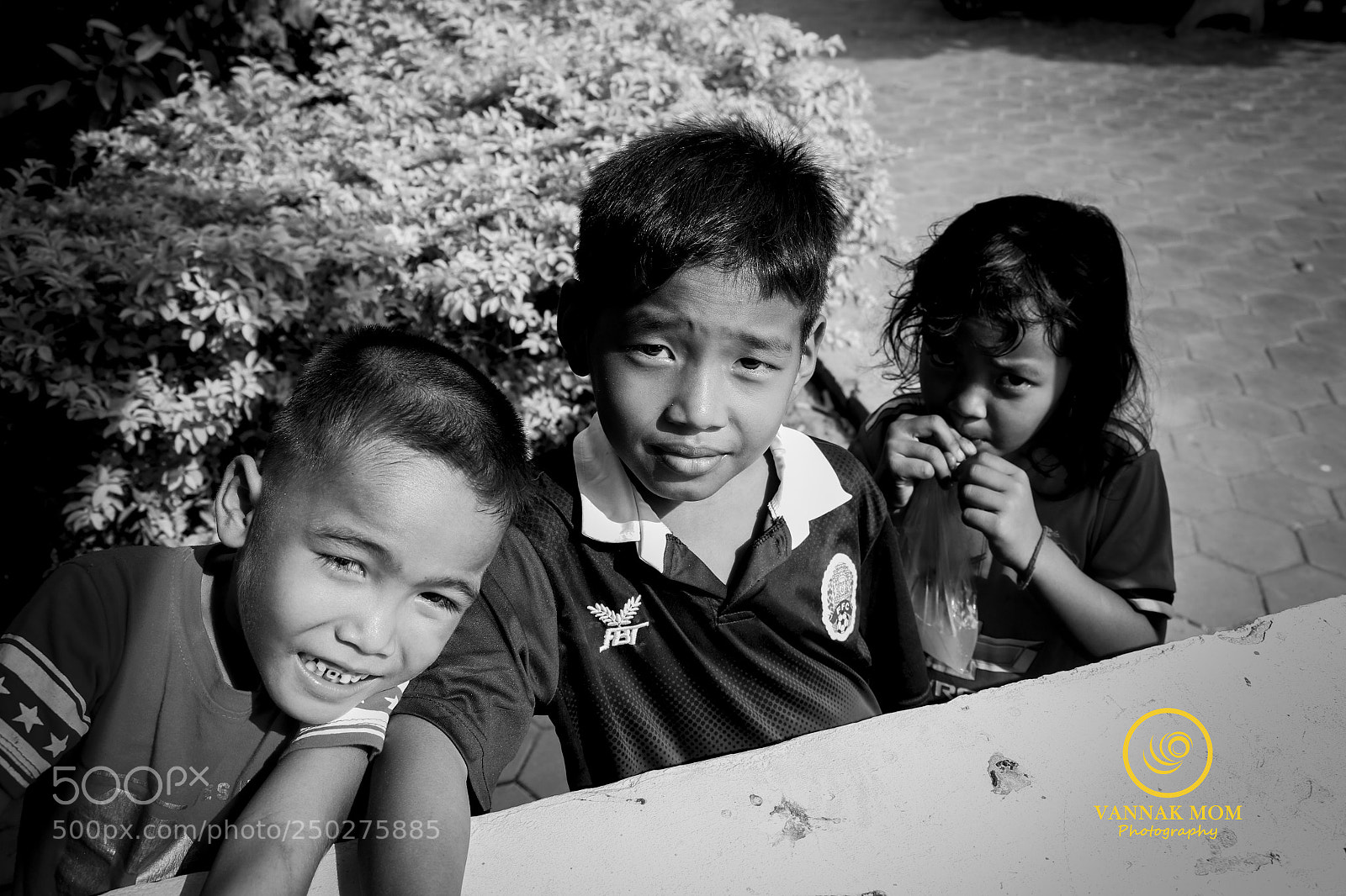 Canon EOS 70D sample photo. Mg photography